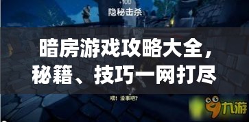 暗房游戏攻略大全，秘籍、技巧一网打尽！