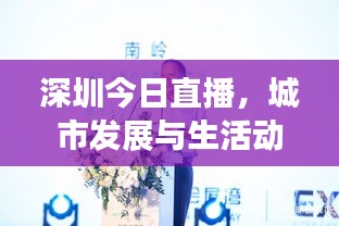 深圳今日直播，城市发展与生活动态全景透视