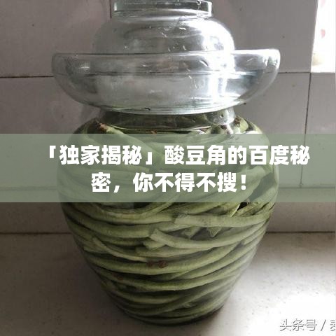 「独家揭秘」酸豆角的百度秘密，你不得不搜！