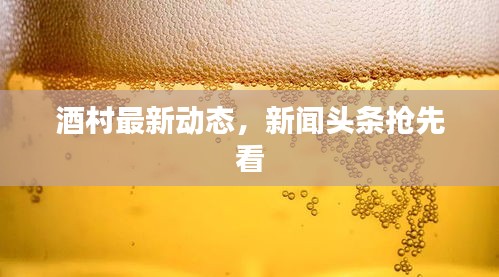 酒村最新动态，新闻头条抢先看