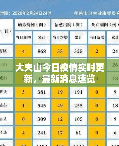 大夫山今日疫情实时更新，最新消息速览