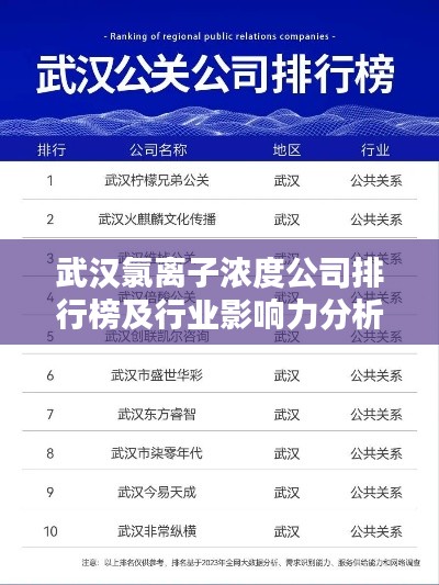 武汉氯离子浓度公司排行榜及行业影响力分析