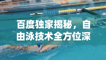 百度独家揭秘，自由泳技术全方位深度解析