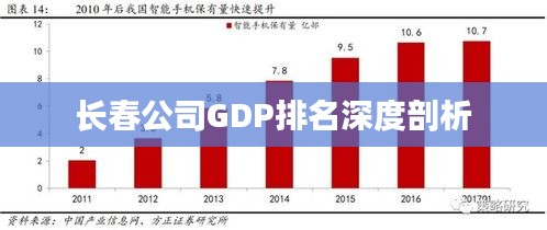 长春公司GDP排名深度剖析