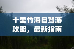 十里竹海自驾游攻略，最新指南带你畅游自然之境