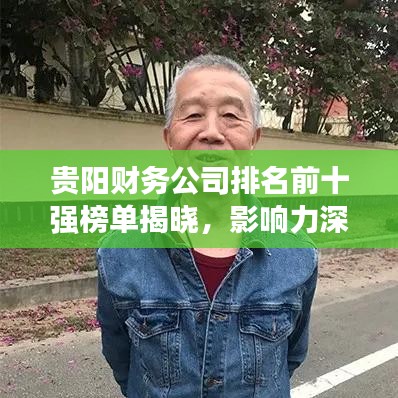 贵阳财务公司排名前十强榜单揭晓，影响力深度解析！