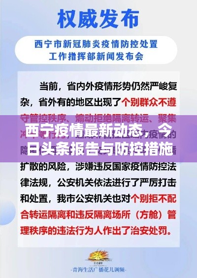 西宁疫情最新动态，今日头条报告与防控措施全解析