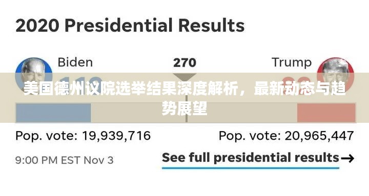 美国德州议院选举结果深度解析，最新动态与趋势展望