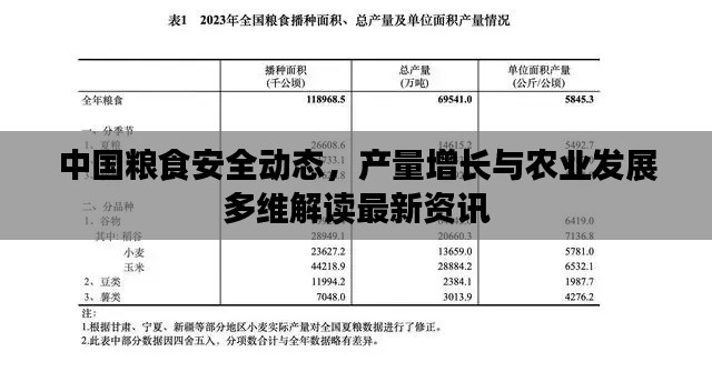 中国粮食安全动态，产量增长与农业发展多维解读最新资讯