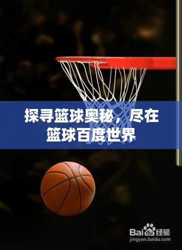 探寻篮球奥秘，尽在篮球百度世界
