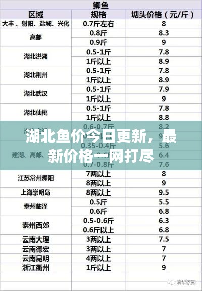 湖北鱼价今日更新，最新价格一网打尽