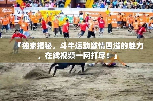 「独家揭秘，斗牛运动激情四溢的魅力，在线视频一网打尽！」