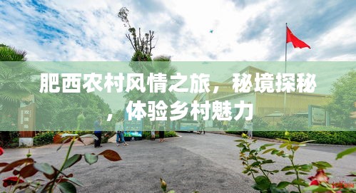 肥西农村风情之旅，秘境探秘，体验乡村魅力