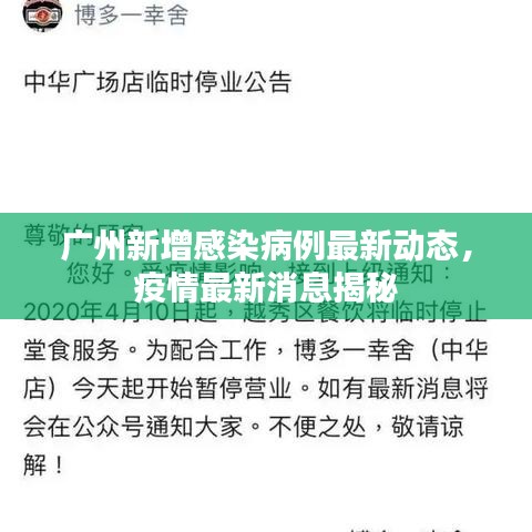 广州新增感染病例最新动态，疫情最新消息揭秘