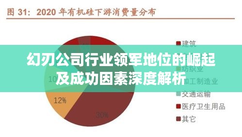 幻刃公司行业领军地位的崛起及成功因素深度解析