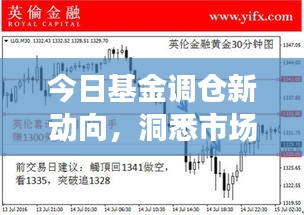 今日基金调仓新动向，洞悉市场变化，把握投资脉搏