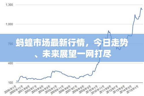 蚂蝗市场最新行情，今日走势、未来展望一网打尽