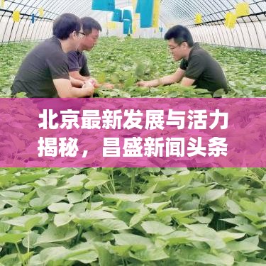 北京最新发展与活力揭秘，昌盛新闻头条速递