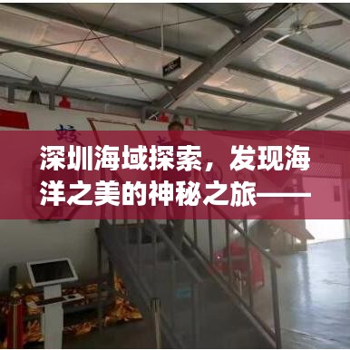 深圳海域探索，发现海洋之美的神秘之旅——百度一下