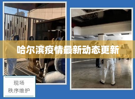 哈尔滨疫情最新动态更新