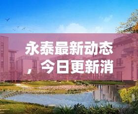永泰最新动态，今日更新消息速递
