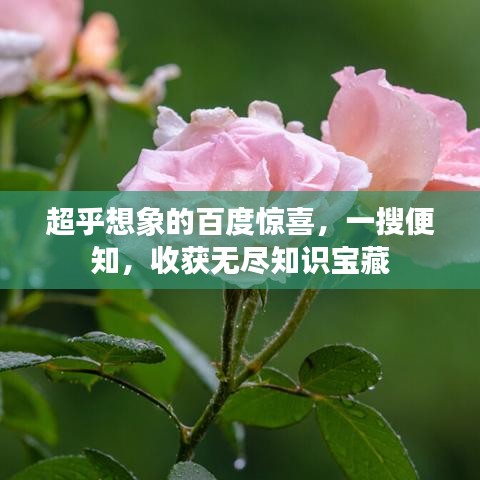 超乎想象的百度惊喜，一搜便知，收获无尽知识宝藏
