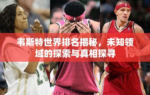 韦斯特世界排名揭秘，未知领域的探索与真相探寻