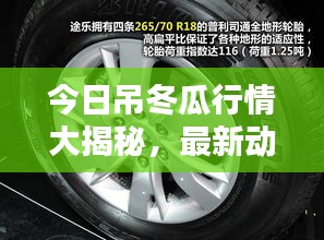 今日吊冬瓜行情大揭秘，最新动态一网打尽