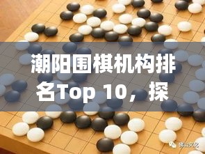 潮阳围棋机构排名Top 10，探寻围棋教育的精英之地