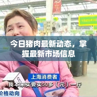 今日猪肉最新动态，掌握最新市场信息