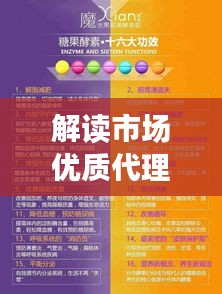 解读市场优质代理装修公司排名，挑选最专业的装修服务团队！
