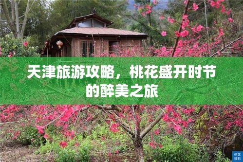 天津旅游攻略，桃花盛开时节的醉美之旅