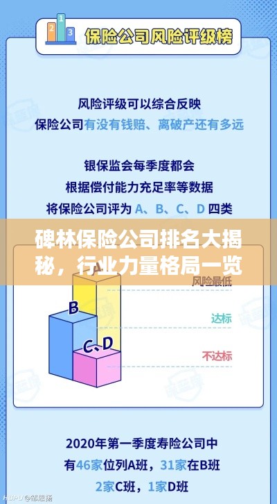 碑林保险公司排名大揭秘，行业力量格局一览无余