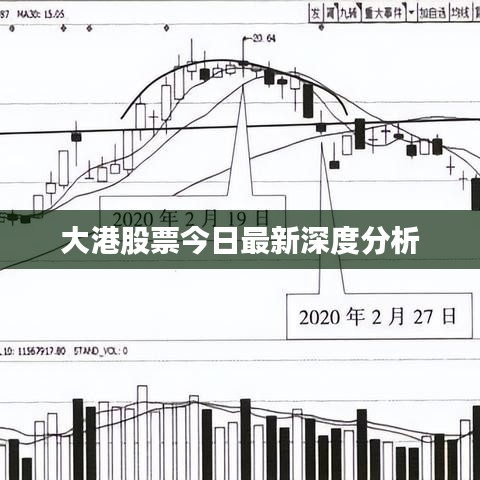 大港股票今日最新深度分析
