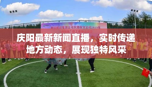 庆阳最新新闻直播，实时传递地方动态，展现独特风采
