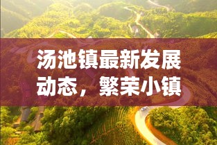 汤池镇最新发展动态，繁荣小镇焕新颜