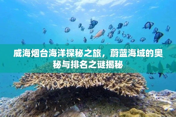 威海烟台海洋探秘之旅，蔚蓝海域的奥秘与排名之谜揭秘
