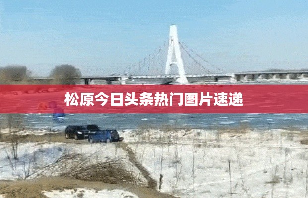 松原今日头条热门图片速递