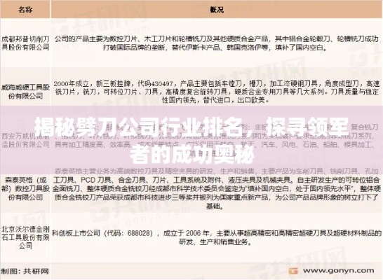 揭秘劈刀公司行业排名，探寻领军者的成功奥秘