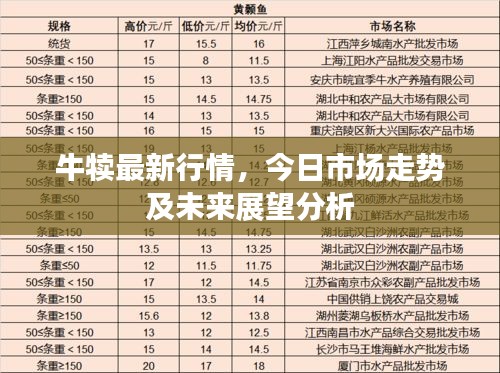 牛犊最新行情，今日市场走势及未来展望分析