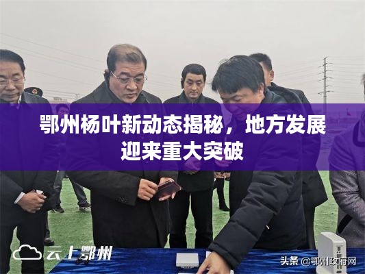 鄂州杨叶新动态揭秘，地方发展迎来重大突破