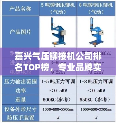 嘉兴气压铆接机公司排名TOP榜，专业品牌实力比拼！