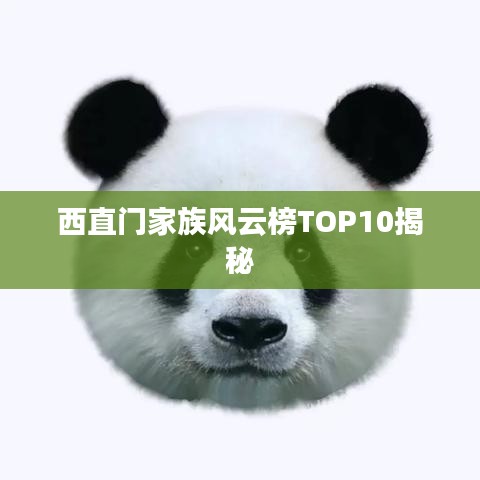 西直门家族风云榜TOP10揭秘