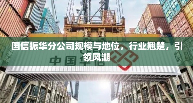 国信振华分公司规模与地位，行业翘楚，引领风潮