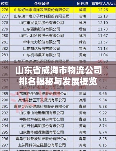 山东省威海市物流公司排名揭秘与发展概览