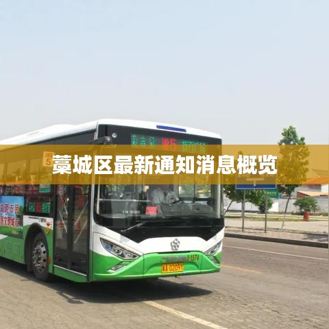 藁城区最新通知消息概览