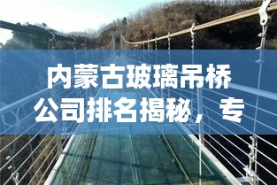 内蒙古玻璃吊桥公司排名揭秘，专业团队打造，品质卓越的企业榜单