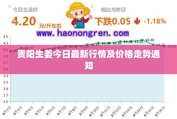 贵阳生姜今日最新行情及价格走势通知