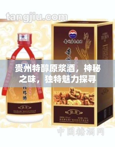 贵州特醇原浆酒，神秘之味，独特魅力探寻