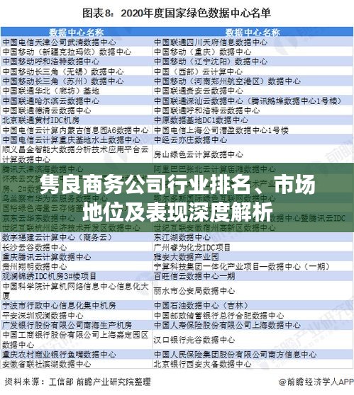 隽良商务公司行业排名、市场地位及表现深度解析